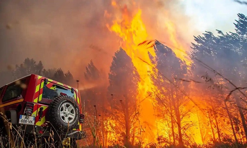 Nắng nóng ở Châu Âu gây ra hàng loạt vụ cháy rừng. 
