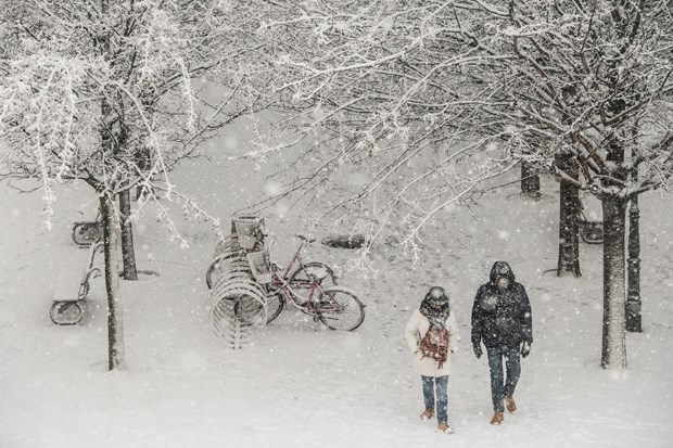 Tuyết rơi dày đặc tại Prague, Cộng hòa Séc. (Ảnh: AFP)
